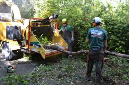 tree services Montrose